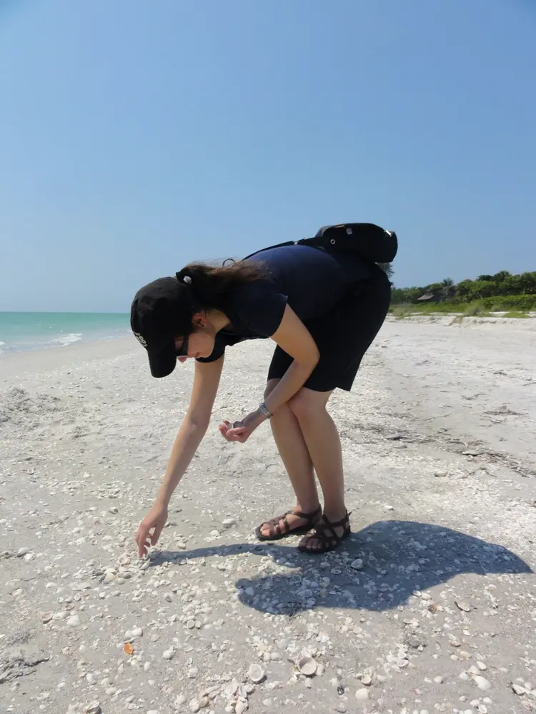 Foto 2 zu Von Naples über Sanibel Island nach Sarasota