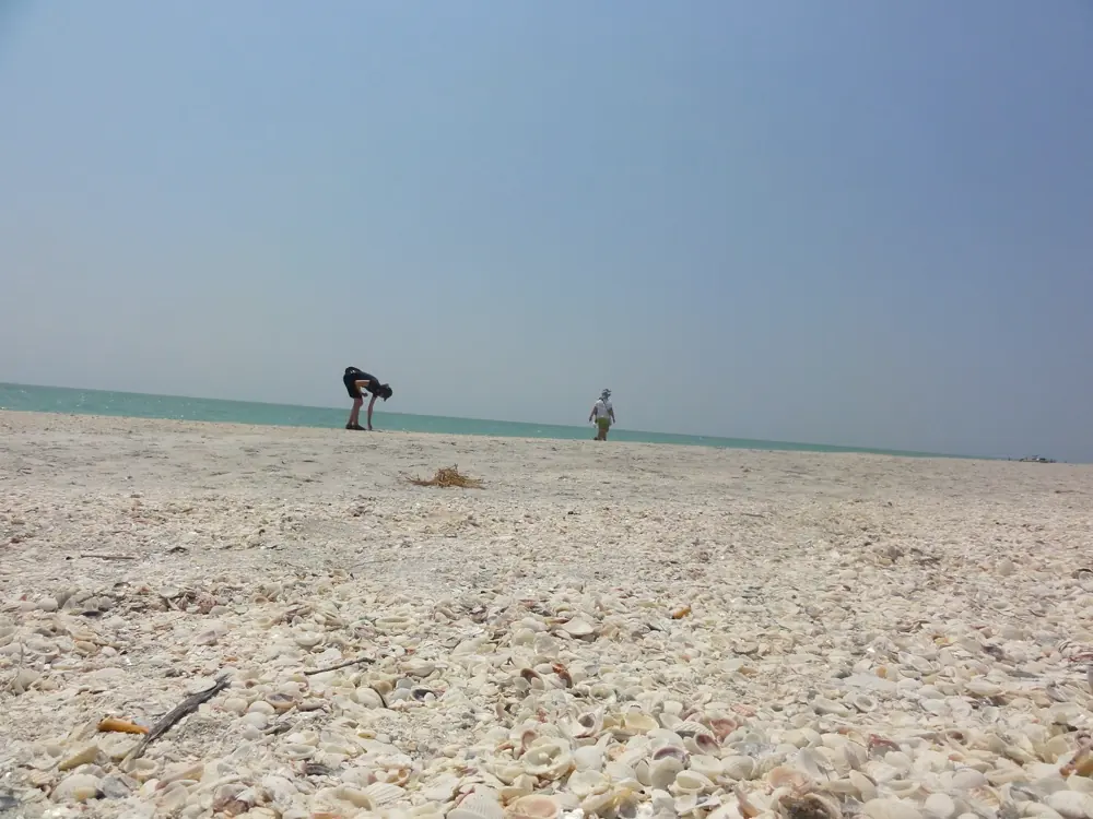 Foto 3 zu Von Naples über Sanibel Island nach Sarasota