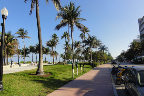 DSC00567