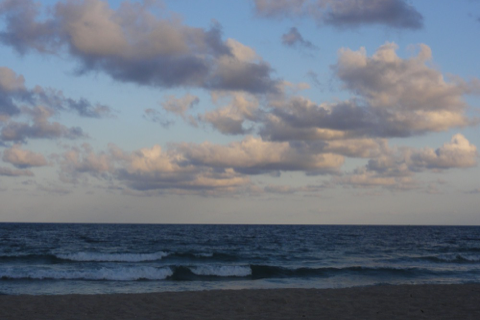 DSC00888
