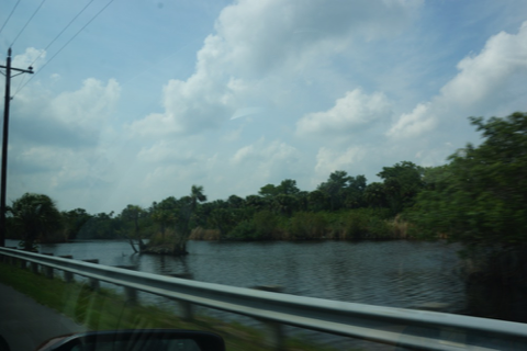 DSC05396